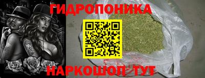 молекула духа Бердск