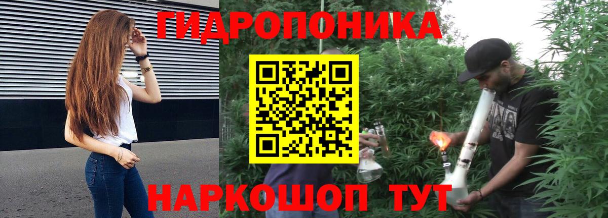 Бошки марихуана LSD WEED  МАРИХУАНА AK-47  Выборг  Вход с VPN  Канабис марихуана 